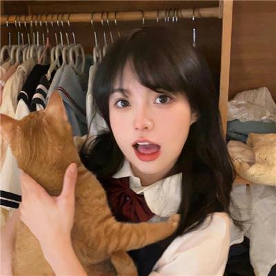 动物界